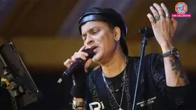 related-article-banner-image