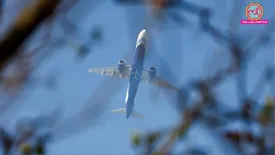 related-article-banner-image