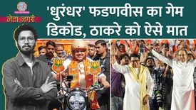 related-article-banner-image