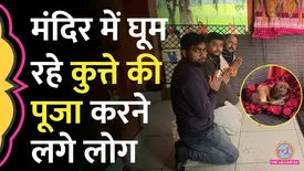 related-article-banner-image