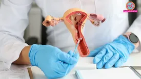 related-article-banner-image