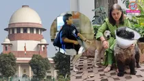 Supereme Court, Maneka Gandhi, Supereme Court Maneka Gandhi, stray dog, stray dogs, contempt of court, Supereme Court news, Maneka Gandhi news, supreme court on stray dogs, Maneka Gandhi contempt of court