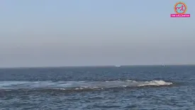 related-article-banner-image