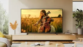 related-article-banner-image