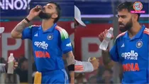 virat kohli's secret drink pickle juice goes viral know its health benefits