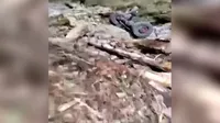 Army Accident