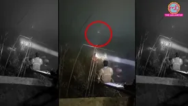 related-article-banner-image