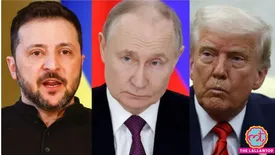 related-article-banner-image