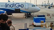 Indigo profit and share falls