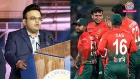 related-article-banner-image