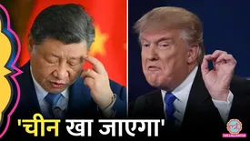 related-article-banner-image