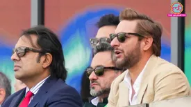 related-article-banner-image