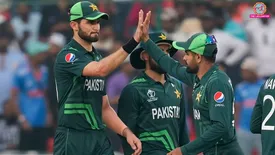 related-article-banner-image