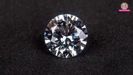 related-article-banner-image