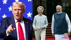 related-article-banner-image