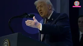 related-article-banner-image