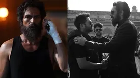 related-article-banner-image