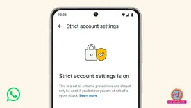 related-article-banner-image