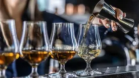 related-article-banner-image