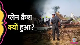 related-article-banner-image