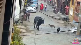 related-article-banner-image