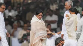 related-article-banner-image