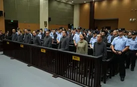 related-article-banner-image