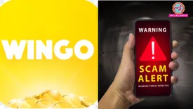 related-article-banner-image