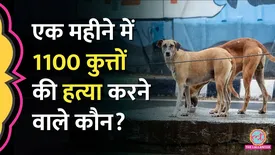 related-article-banner-image