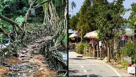 related-article-banner-image