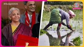 related-article-banner-image