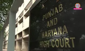 related-article-banner-image