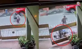 related-article-banner-image