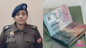 related-article-banner-image