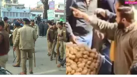 related-article-banner-image