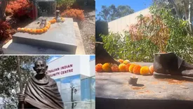 related-article-banner-image