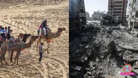 related-article-banner-image