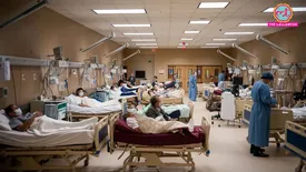 related-article-banner-image