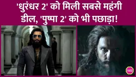 related-article-banner-image