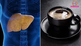 related-article-banner-image