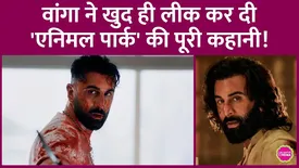 related-article-banner-image