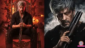 related-article-banner-image