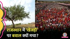 related-article-banner-image