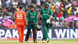 related-article-banner-image