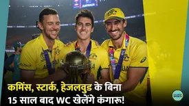 related-article-banner-image