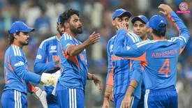 related-article-banner-image