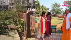 related-article-banner-image