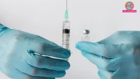 related-article-banner-image