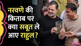 related-article-banner-image