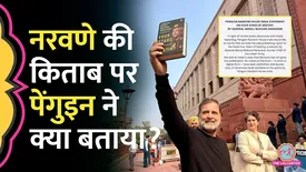 related-article-banner-image